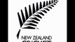 watch live 3rd Quarter Final South Africa vs New Zealand 25th  march world cup 2011 online