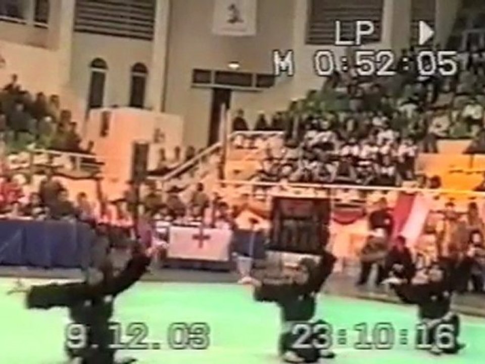 Pencak Silat Martial Arts Indonesia 33