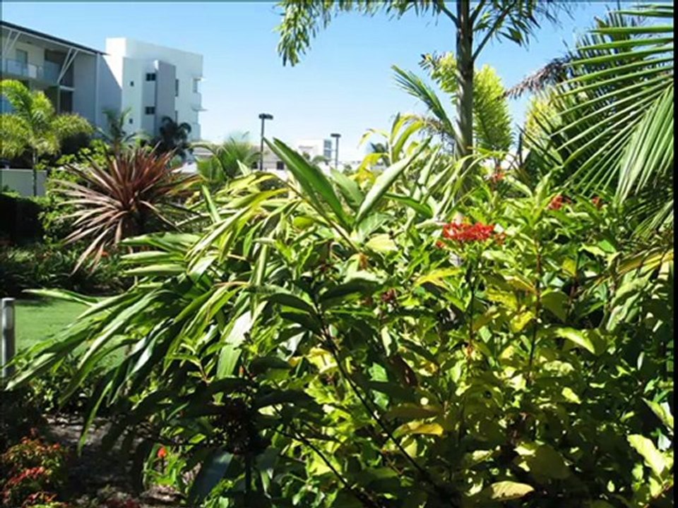 Kawana Island Sunshine Coast Queensland Australia.