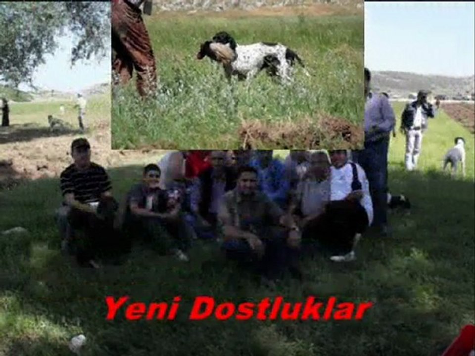 yarısma