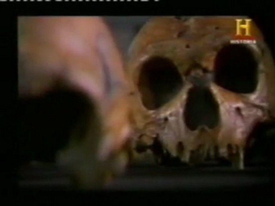 Teoria de la asimilacion: Hibridacion sapiens-neandertal