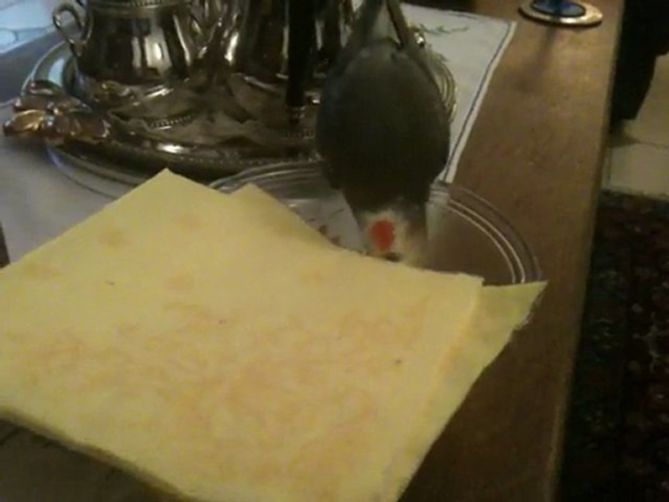 Fifi est gourmand