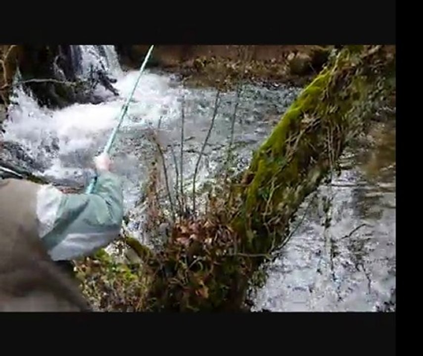 Anthony à la Véïse