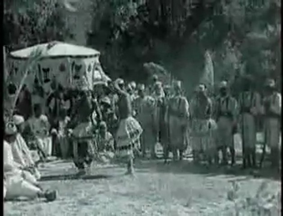 colonnies frankaoui