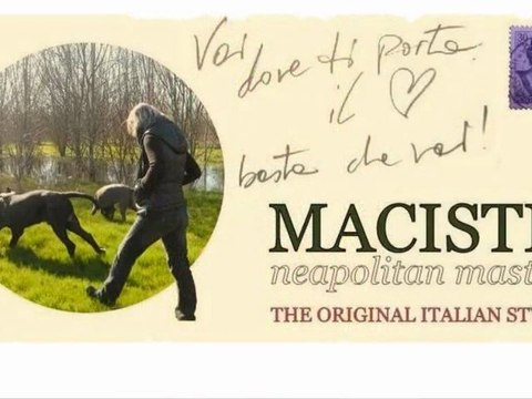 cane corso e mastino napoletano : vai dove ti porta il cuore