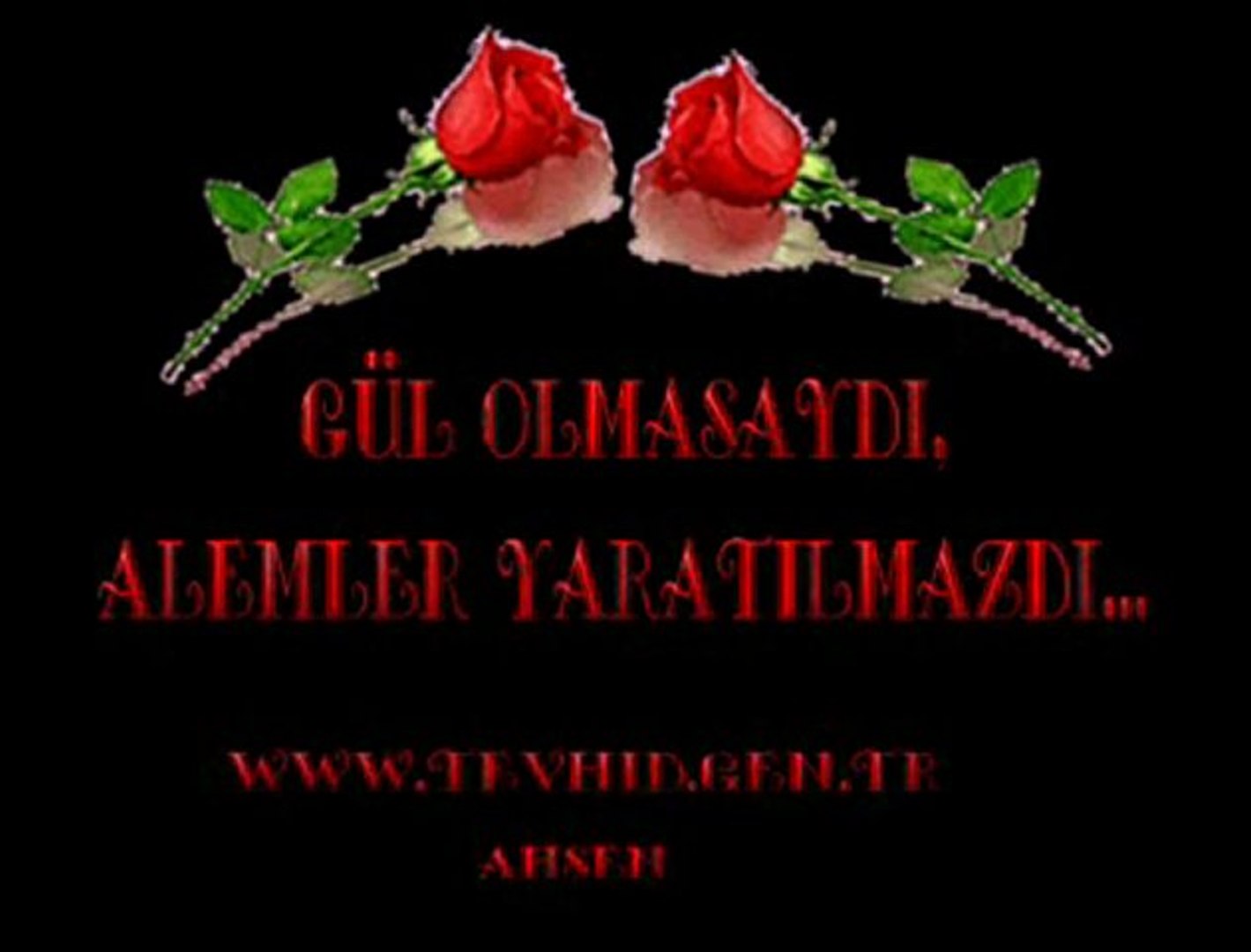 Ender Tekin - Gül Ahmetim - Dailymotion Video