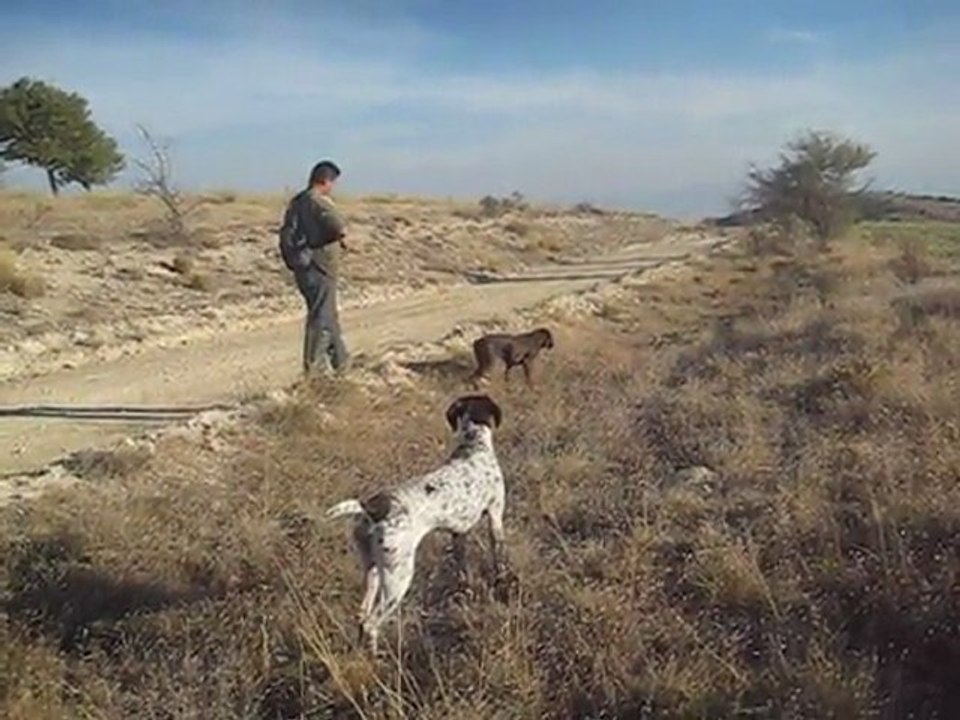 HERA bıldırcın ferma  burdur