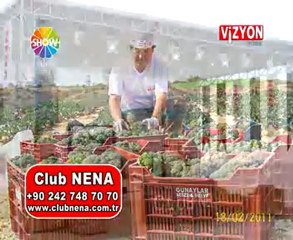 VİZYON TÜRK / CLUB NENA
