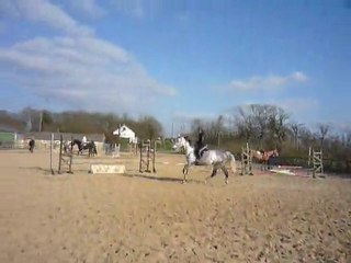 Perle de Chassignol - Travail au Galop -