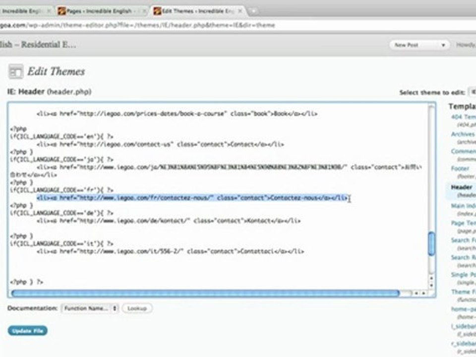 Multilingual website with WordPress and WPML