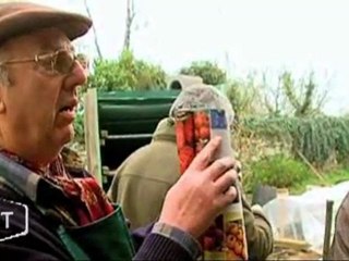 Greffer les tomates (La Châtaigneraie)