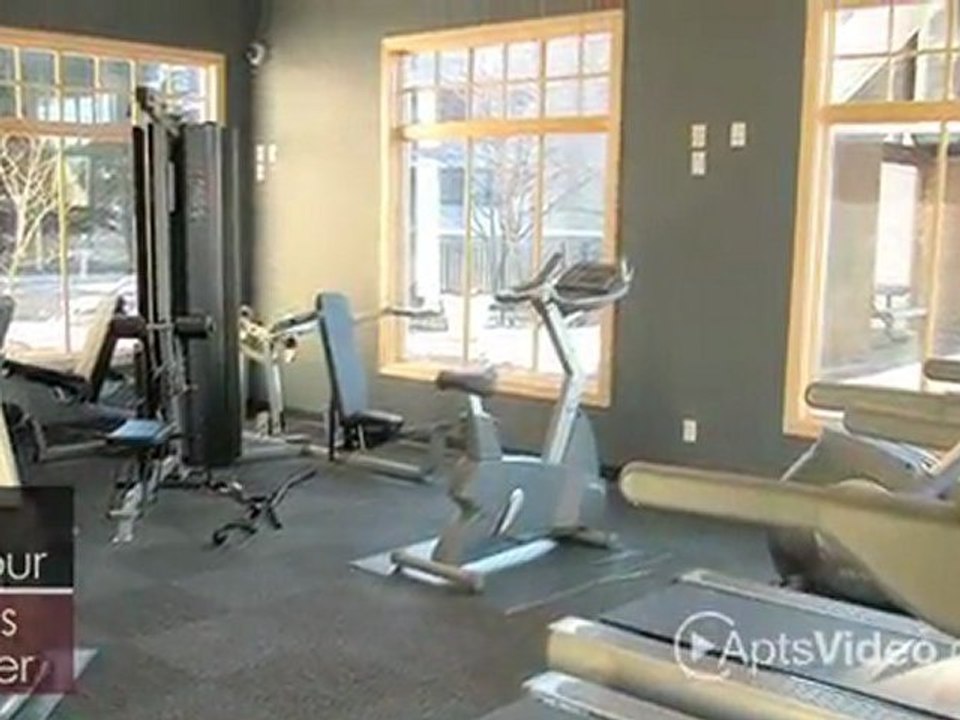 Southview Gables in Inver Grove Heights, MN - ForRent.com