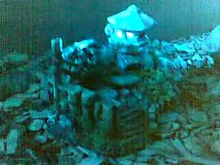 terrarium led pituophis mugitus