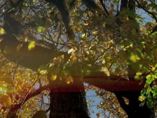 'round midnight  T Monk (cover) with original lyrics