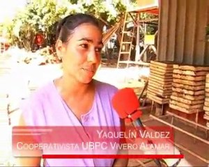 Agricultura urbana - La propiedad cooperativa en el socialismo cubano (Parte 4)