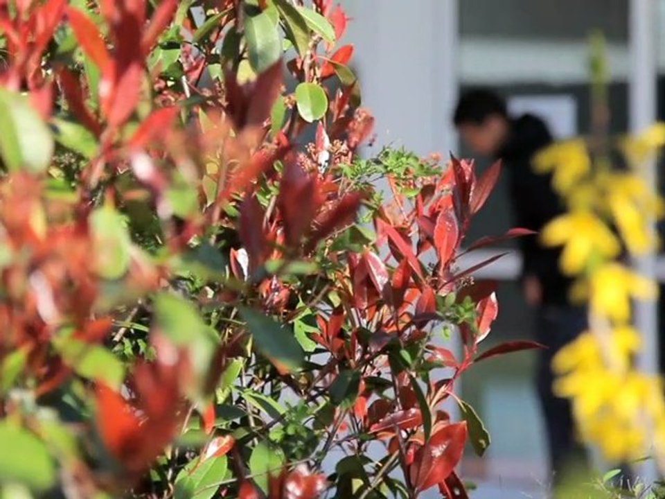 Groupement d'Employeurs Aquitain