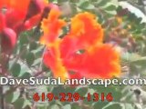 Commercial Landscaping Companies San Diego