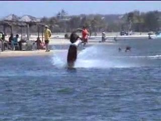 Carpe Diem Hardcore Kiteboarding Trailer