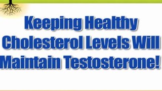 Super Foods That Naturally Increase Testosterone