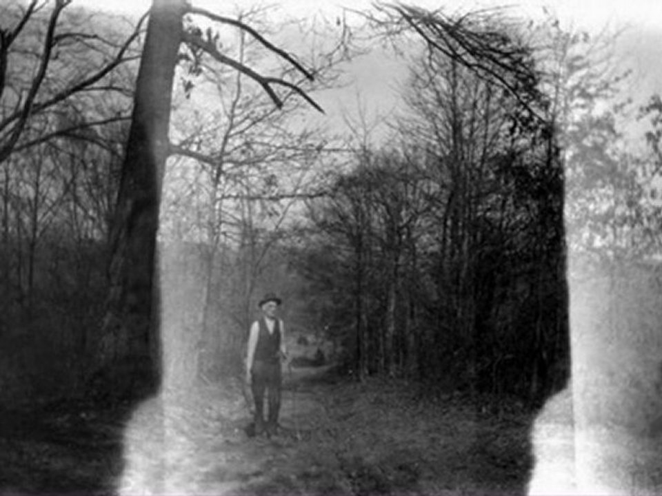 Harvey Reid - Wayfaring Stranger