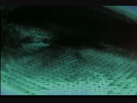 (Courses In Nlp) Hypnosis Certification