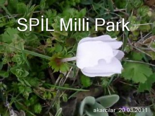 Slayt_Spil  Nevruz-20.03.2011