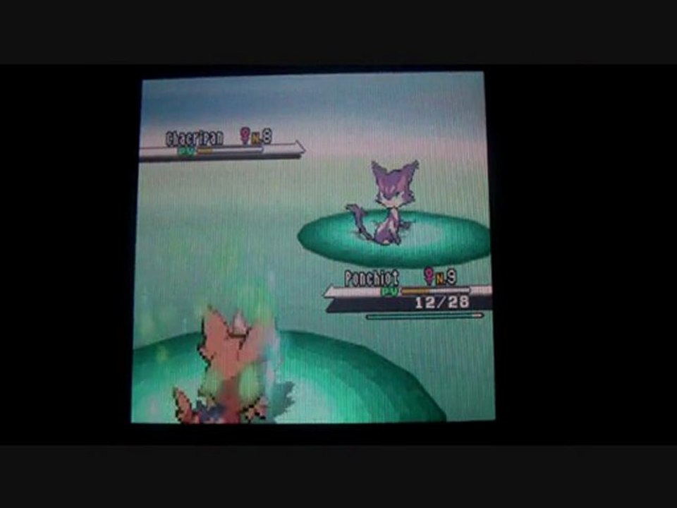 W.T Pokemon Blanc / 03 : L'eau de Reve