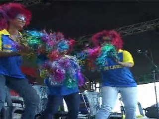 Sri Lanka supports team during World Cup final