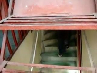 Las dos caras de la moneda. Dilema moral: embarazo no deseado