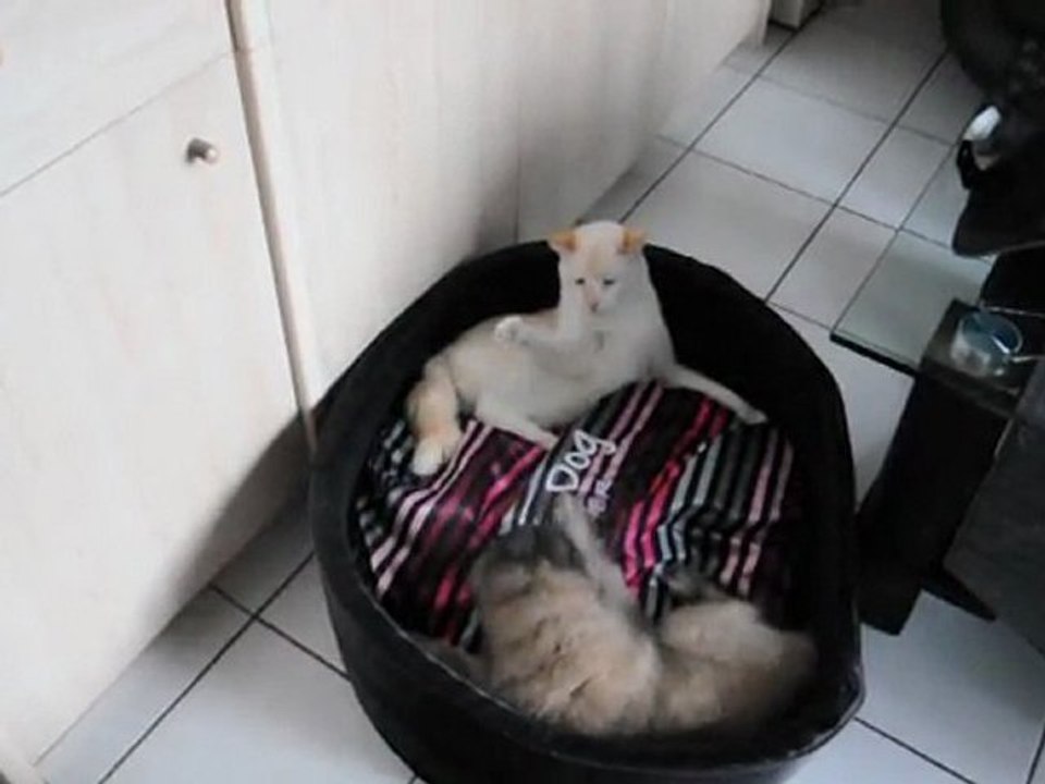 Ghosty et Turbo