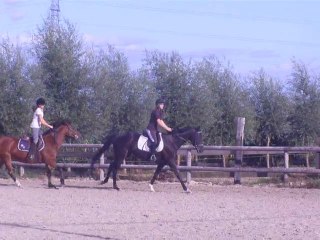 Détente galop >>> Nymphe