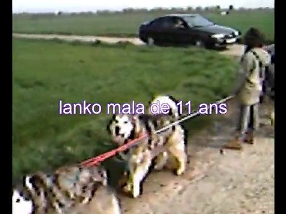 entrainement 2 avril 2011