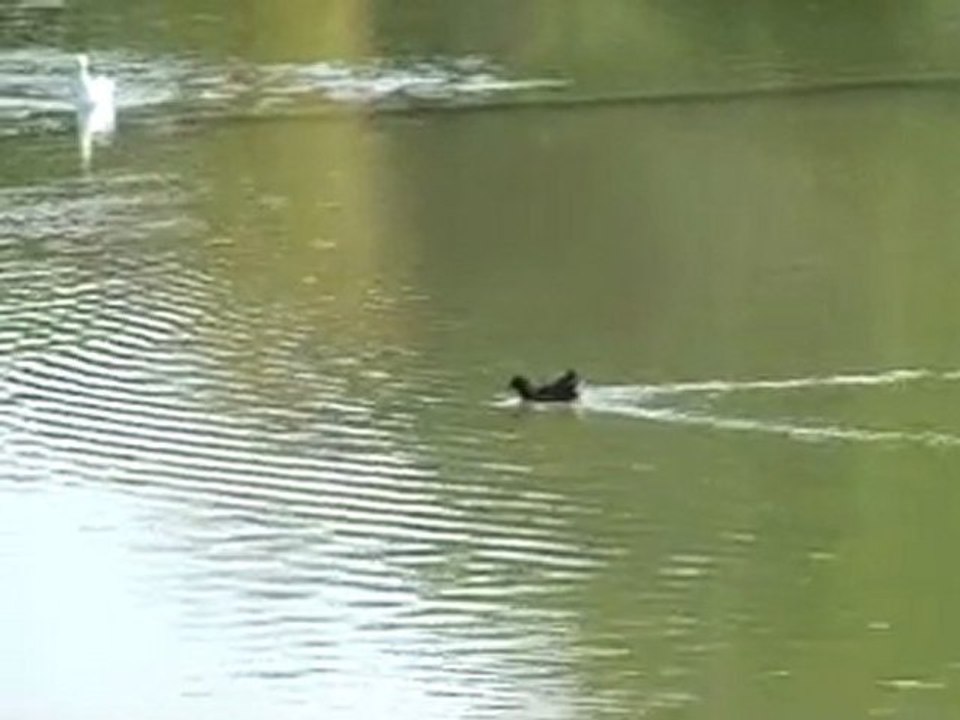 Paris parc Montsouris