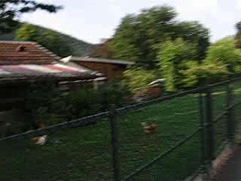 MVI_1741