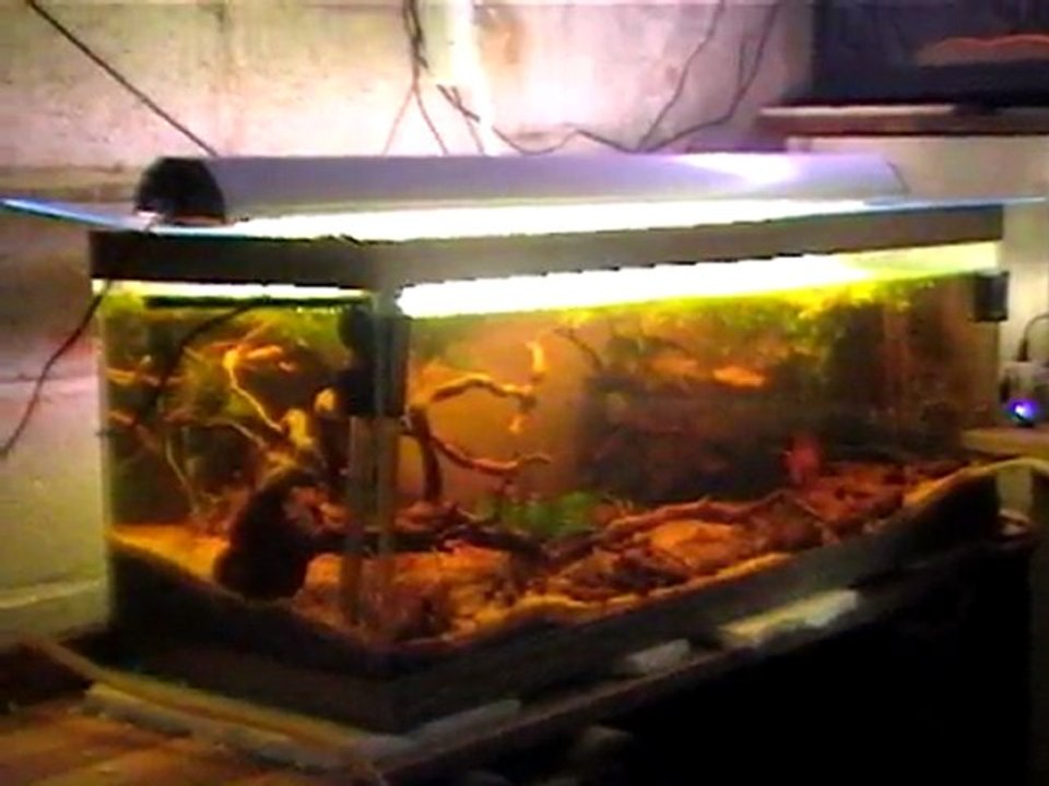 fishroom_provisoire_nicolas