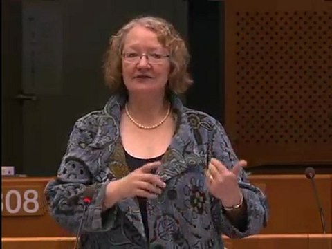 Gesine Meissner on air transport agreement