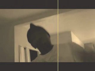 PUT UP