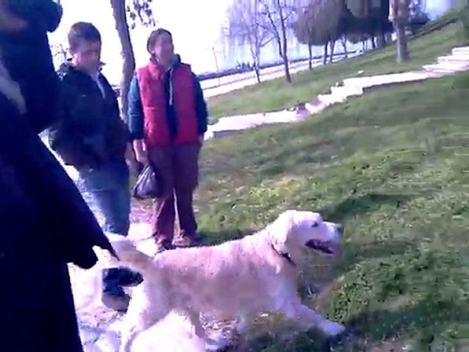Mathilda , rusrt , reyna ve ıce