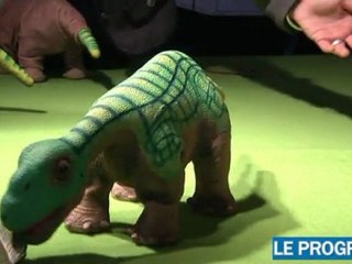 Innorobo : les robots au service de la vie de tous les jours