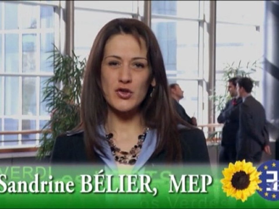 Sandrine Bélier : soutien à Marie-Dominique DREYSSE