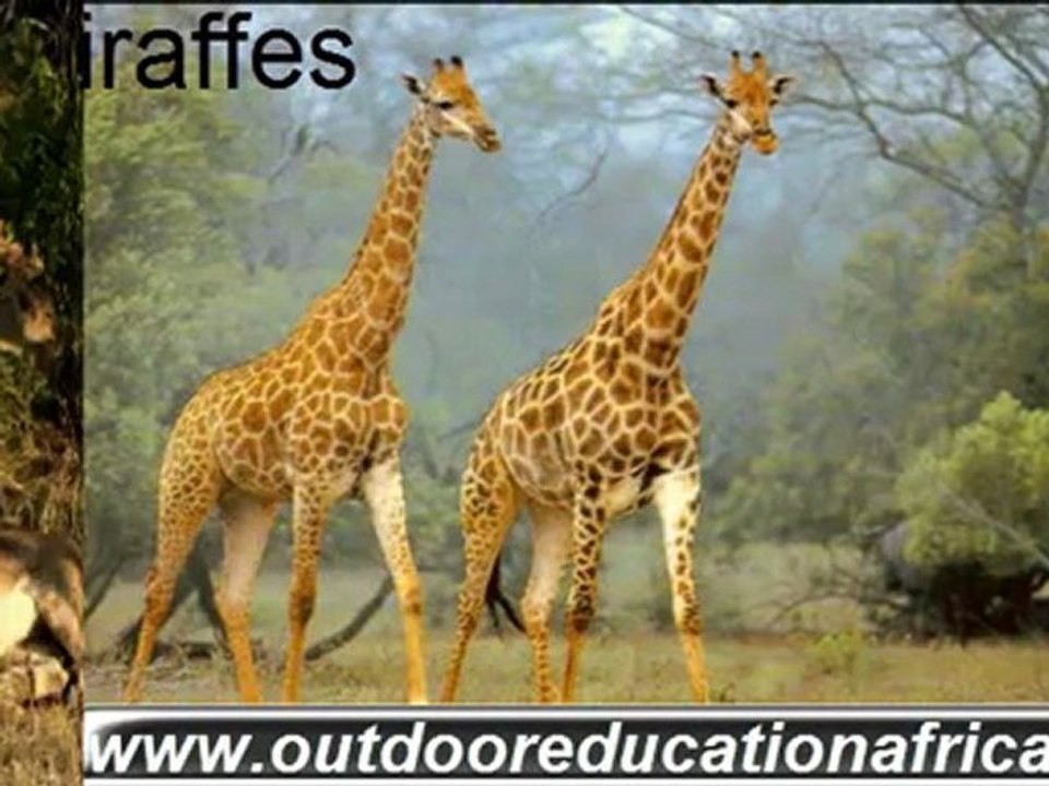 Environmental Educational School Tour - Ons Plek