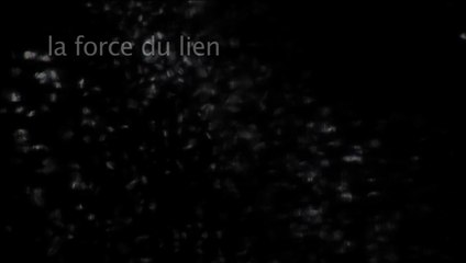 présentation du projet la force du lien