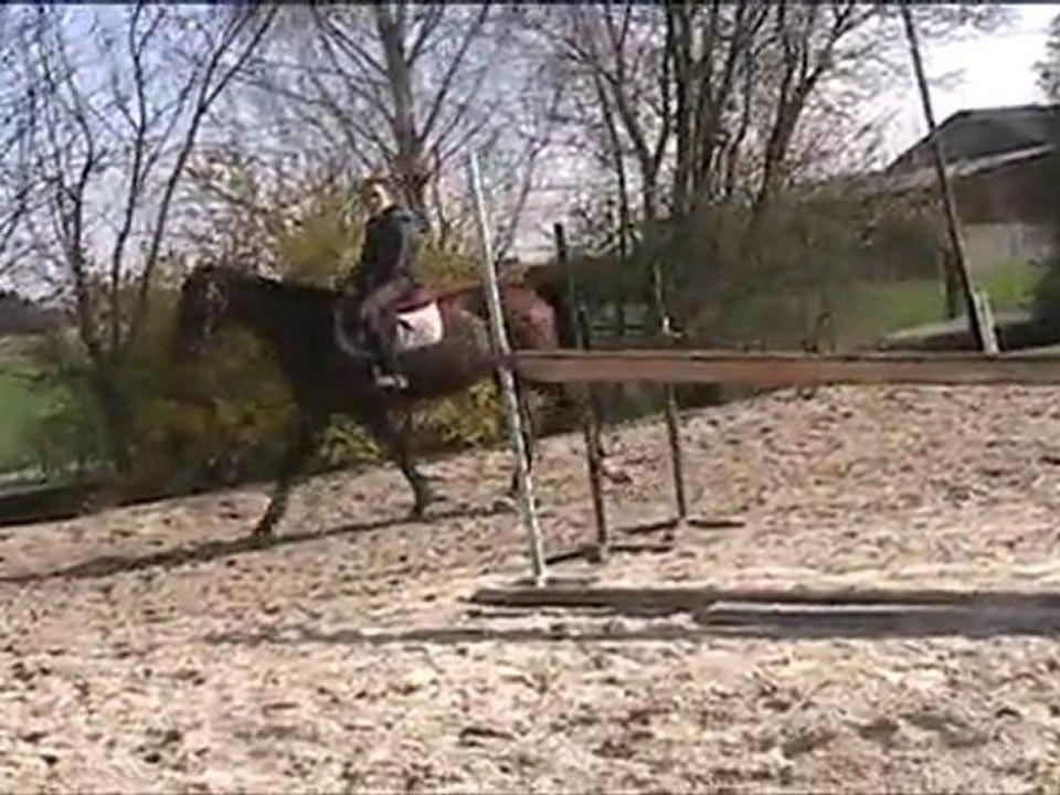RANZO