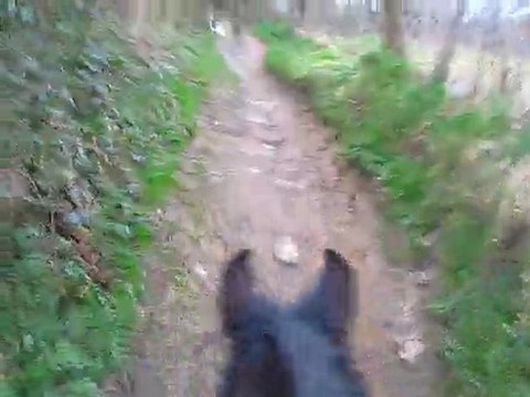 Ulys montée balade 24 mars