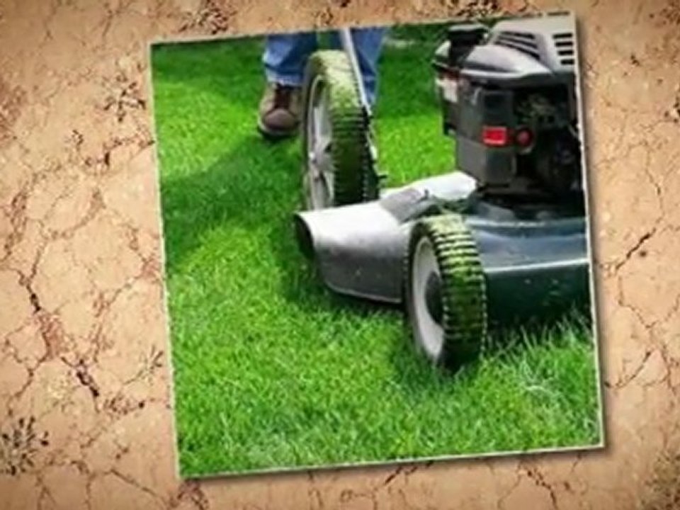 Mesquite Lawn Care