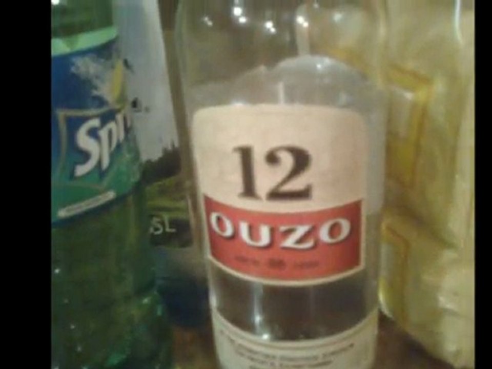 Danube Delta - Saint George 2010