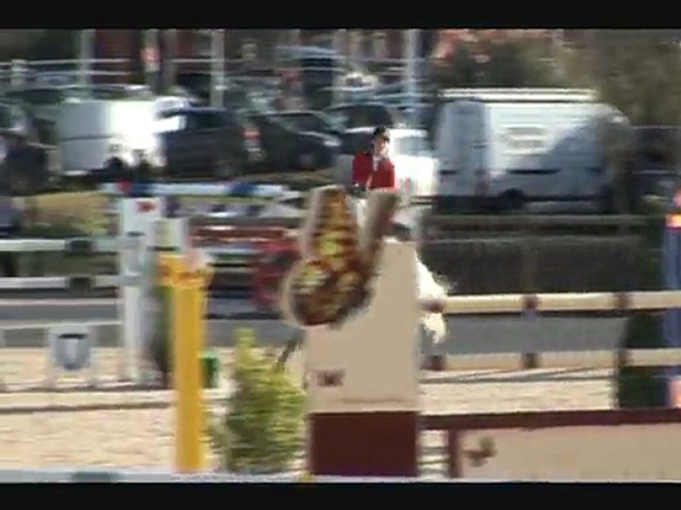 ORIENT DU PY, étalon AA,  Gagnant international, CSI** de VIDAUBAN Mars 2011