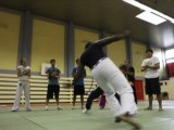Quand le Wushu rencontre la Capoeira