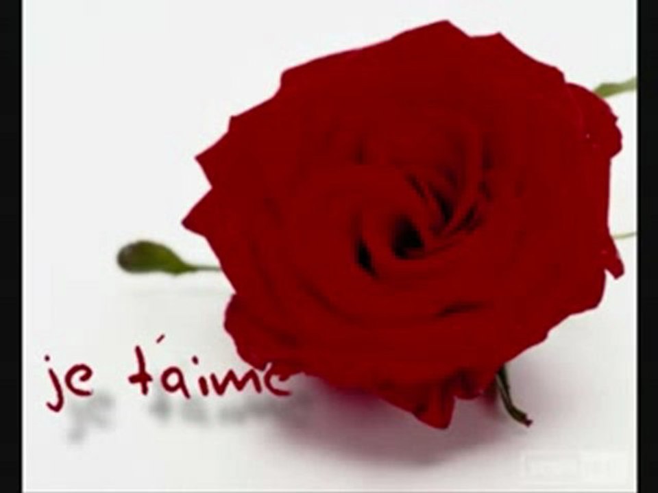 ---ay-amor-