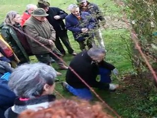 Taille des Rosier à l'Auneau
